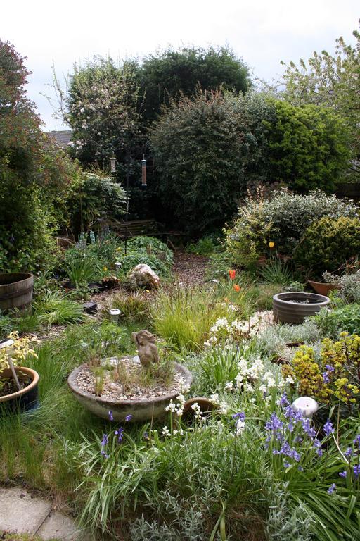 Mere Cottage B & B Alsager Esterno foto