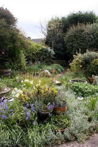 Mere Cottage B & B Alsager Esterno foto